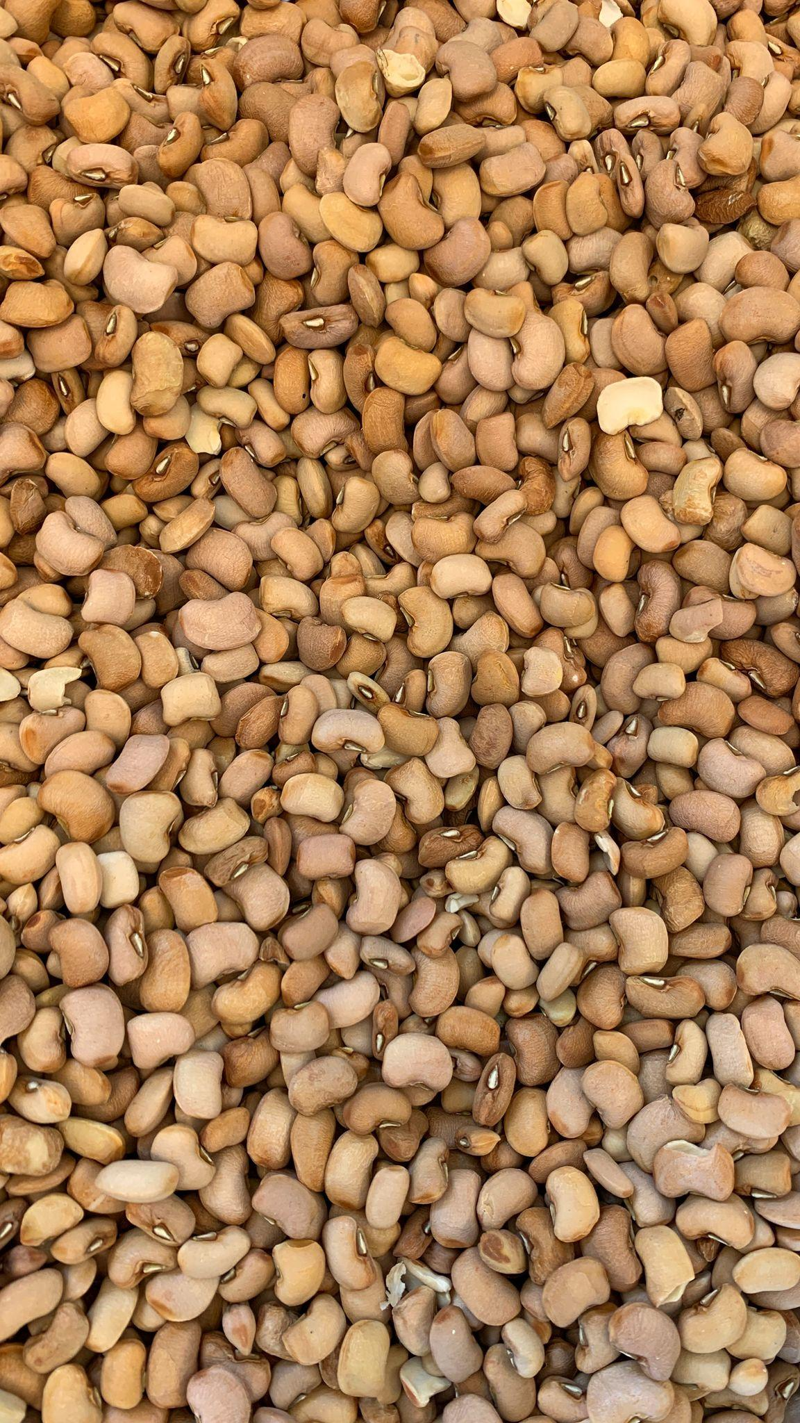 Dried Brown Beans