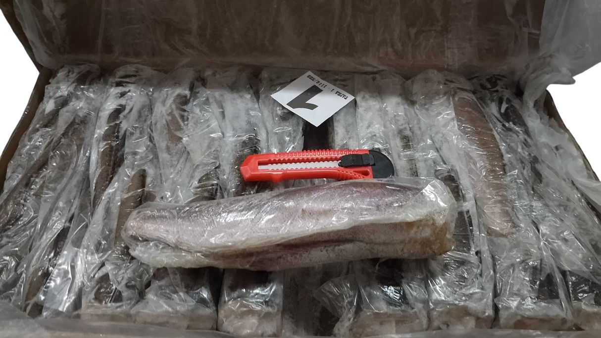 Frozen Marluza Fish Box (per kg) ( Can not be shipped only pick up at shop)
