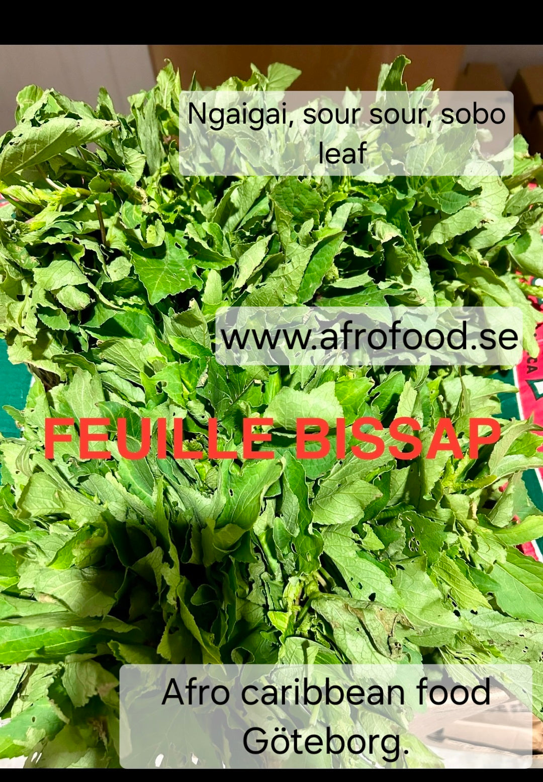 ngaigai, bisaap, sour sour leaf