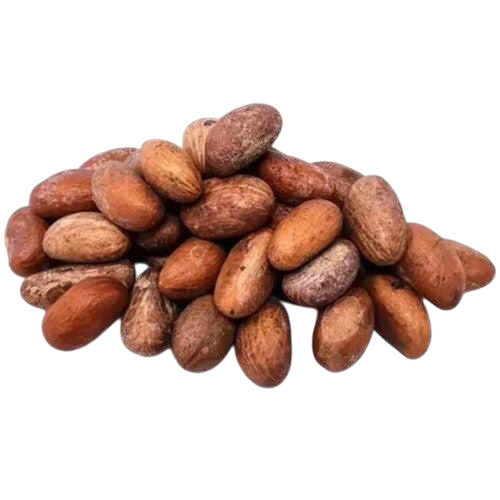 Färska bittra kolanötter 50 g (8-10 bitar)