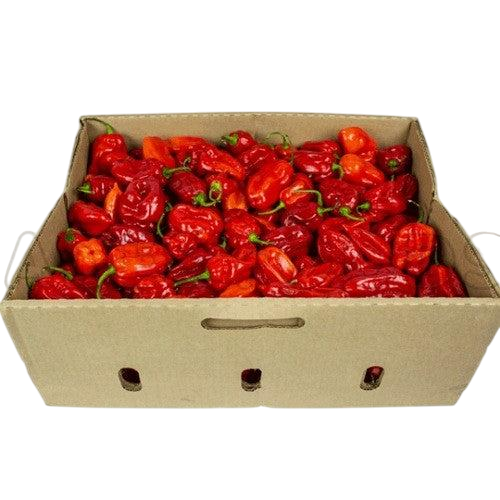 Stark paprika (Habanero) Kartong 3 kg
