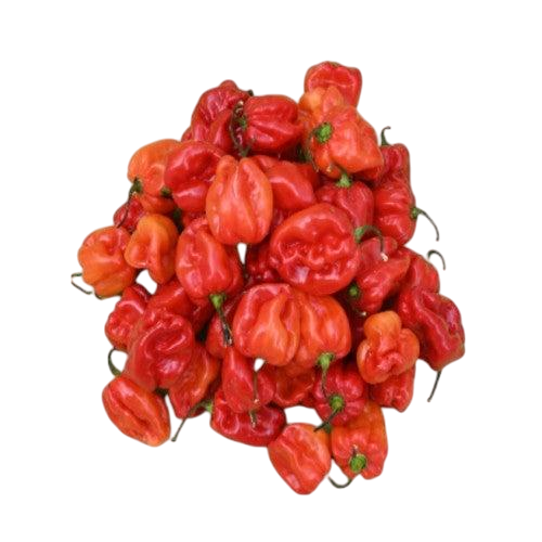 Het paprika (Habaneros) 200 g